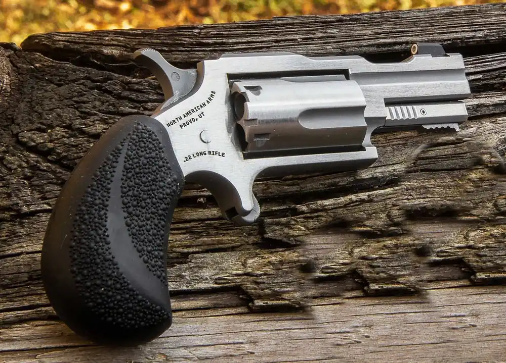 22MAG 2" BUGOUT II Stainless Steel XS Sight