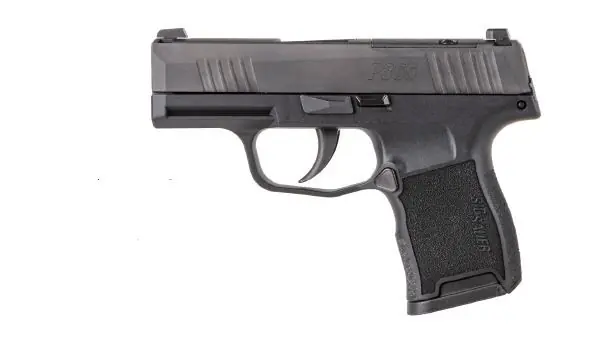 SIG Sauer P365 .380 ACP Black 10+1 Night Sights