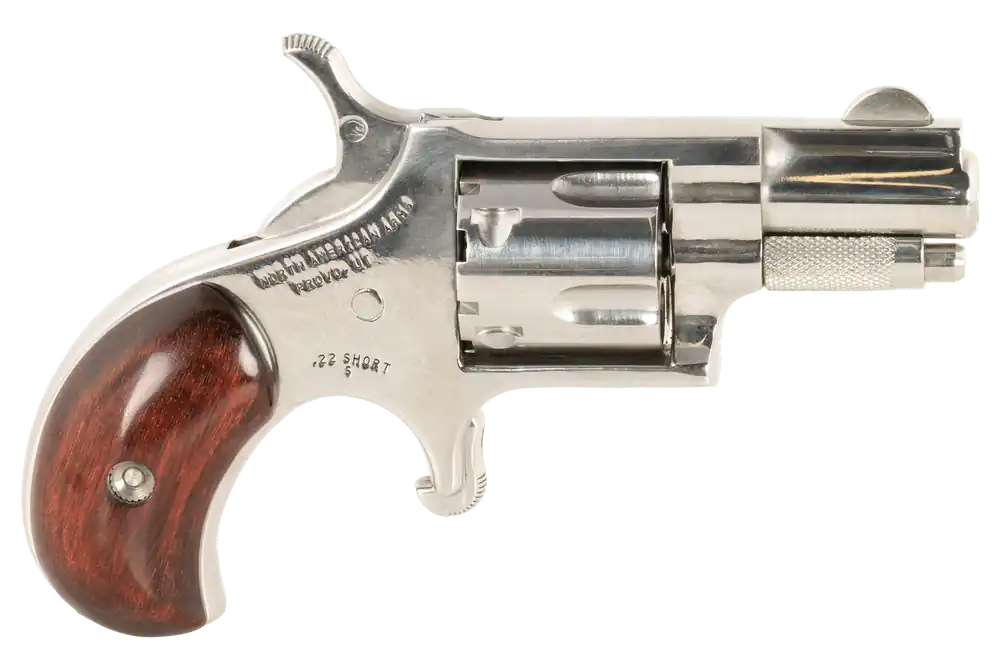 NAA SDLX/LDLX .22 Short 5-Shot Stainless Revolver
