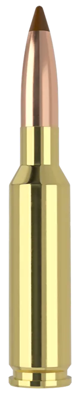Nosler 6.5x55 Swedish 140gr Ballistic Tip Ammunition - 20 Rounds per Box
