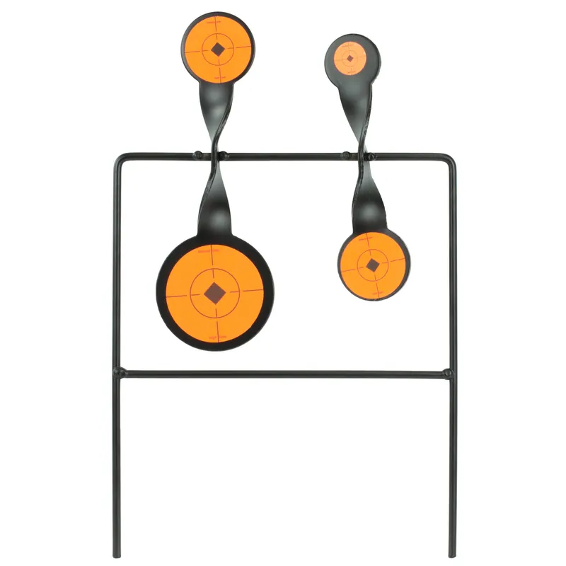 Duplex Spin Target: B/C World of Targets