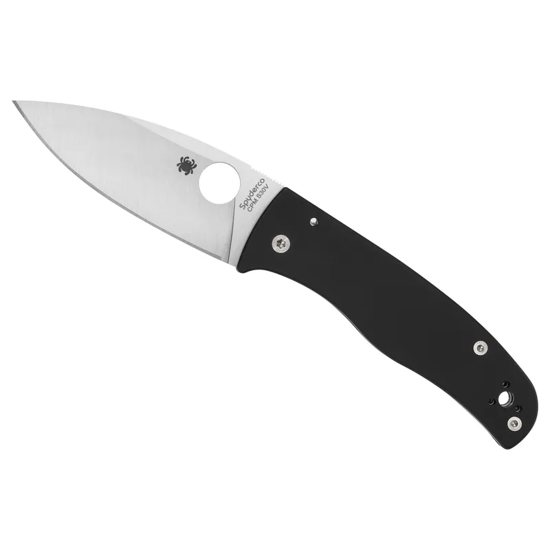Spyderco Bodacious Black/Silver S30V Knife