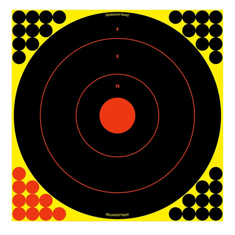 Birchwood Casey 34170 Shoot-N-C Reactive Bullseye Targets - 100 Pack