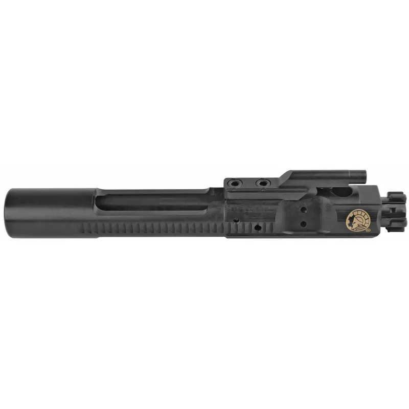 Issues with M4/M16 Standard Bolt Carrier Group