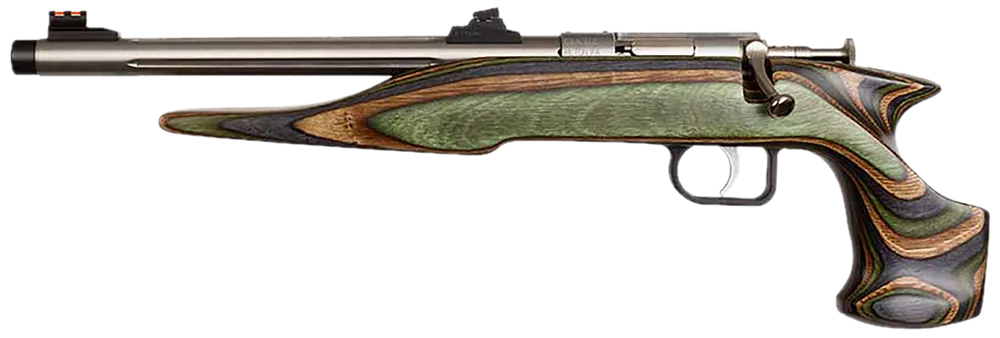 Chipmunk 41105 Hunter Adult .22 Mag Single Shot, 9" Threaded Stainless Barrel, Camo Laminate Stock