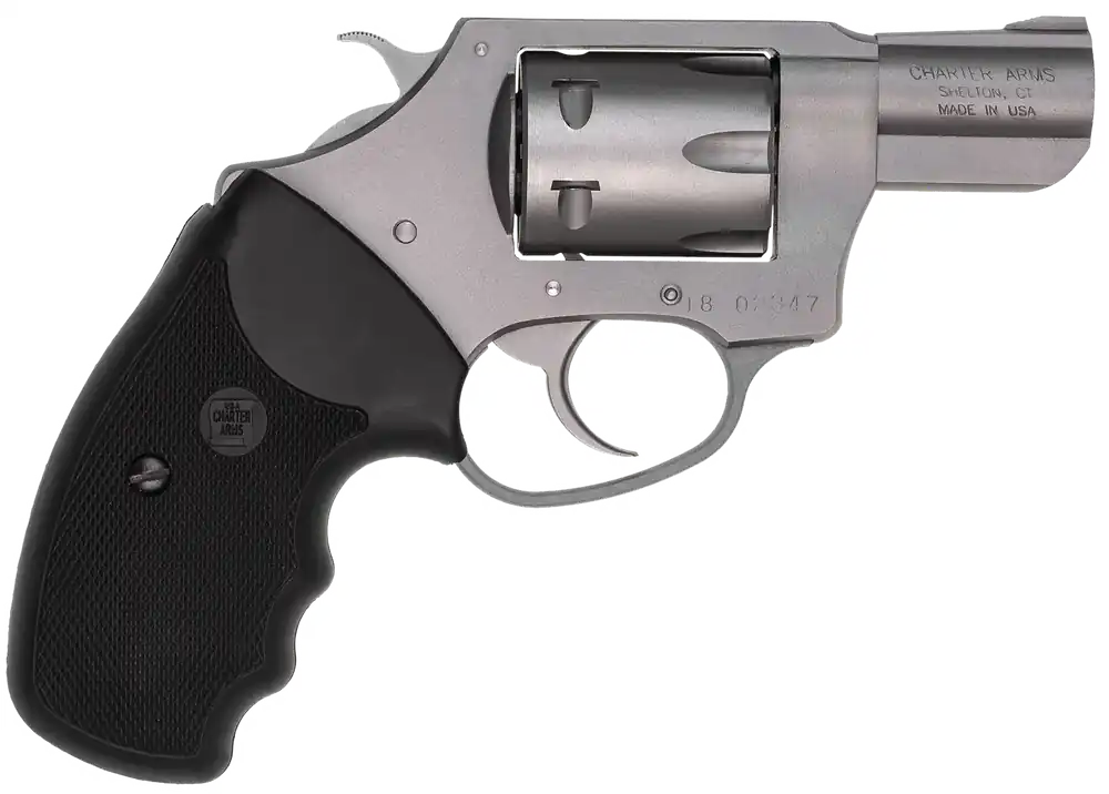 Charter Arms Pathfinder 22 WMR Revolver - Stainless Steel, 8 Shot, 2" Barrel, Black Rubber Grip