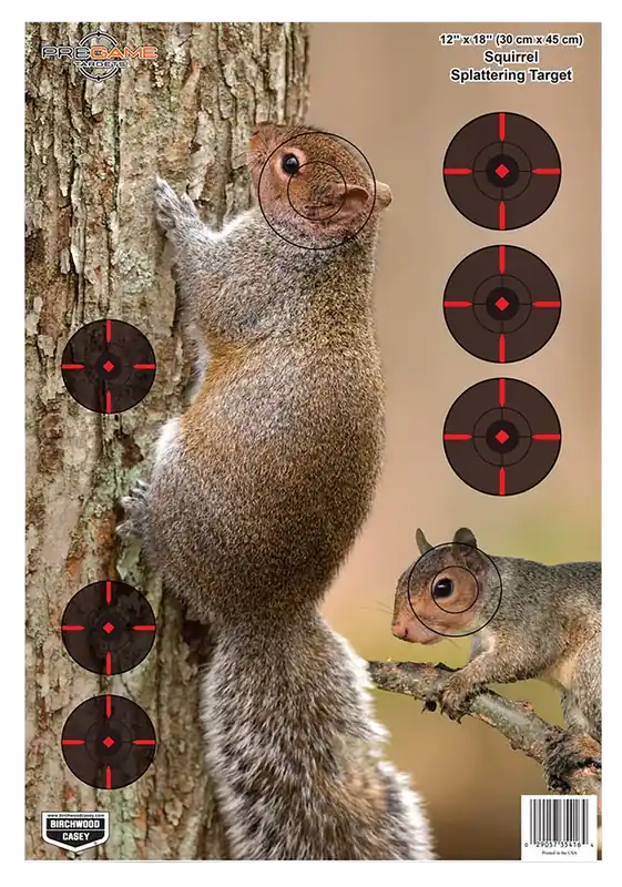 Birchwood Casey Pregame Squirrel Target 12"x18" - 8 Pack
