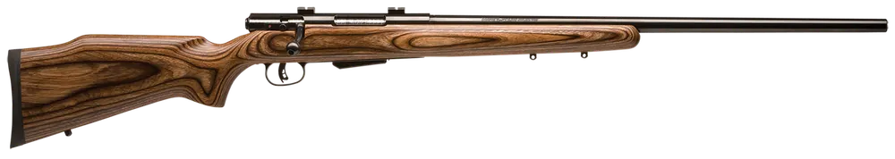 Savage Arms 18527 25 Varminter .204 Ruger Rifle with Laminate Stock and Detachable Magazine