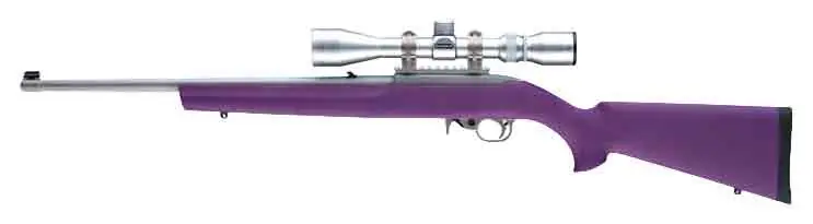 Ruger 10/22 with Heavy Barrel and Purple Hogue Stock