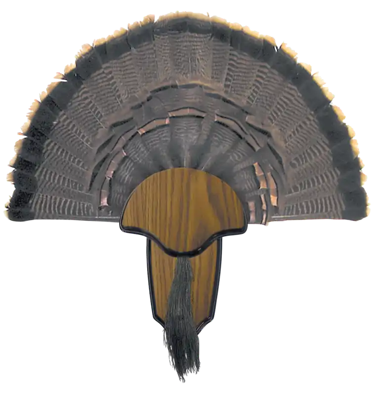Turkey Tail & Beard Mounting Kit - HS Strut 00849