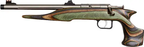 Stainless/Camo Laminate Threaded Chipmunk Hunter Pistol .22LR