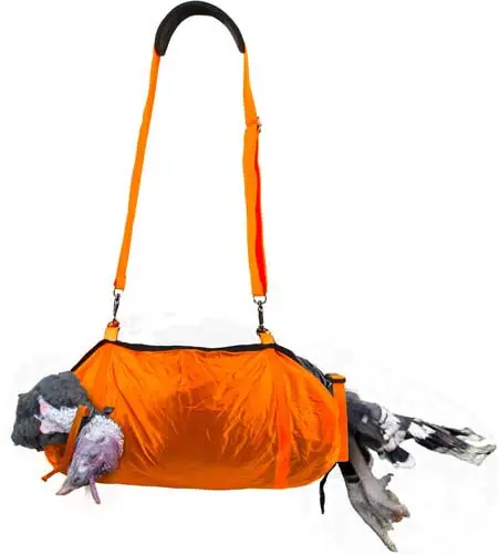 Orange Peregrine: Turkey Hammock Blaze and the Long Beard Adventure