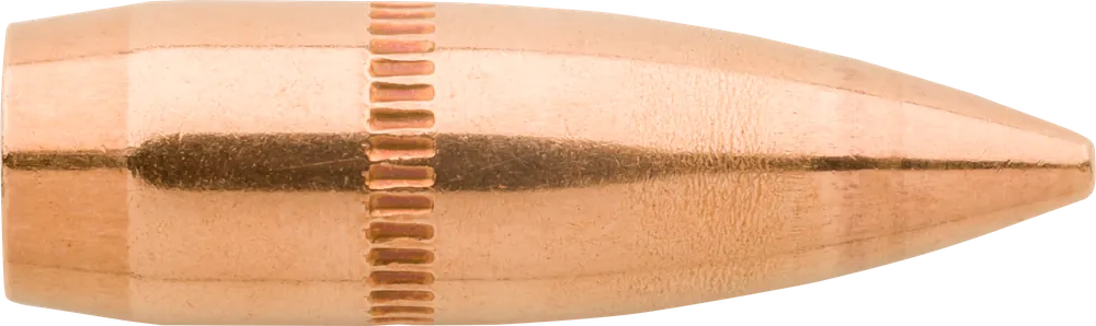 Sierra GameKing .22 Cal 55gr FMJ Ammo - 100 Rounds