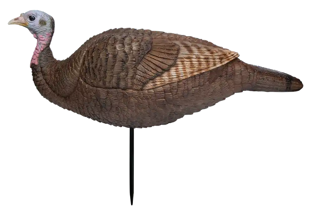 Primos 69073 Lil Gobstopper Hen Turkey Decoy - Multi Color