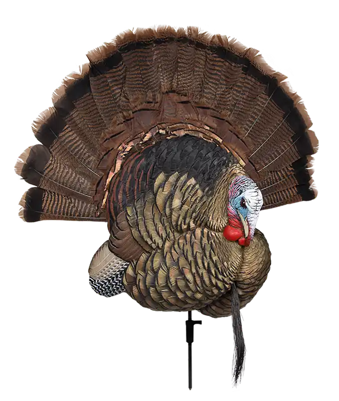 Avian X AVXAVX8021 Trophy Tom Turkey Decoy Multi-Color *No Fan