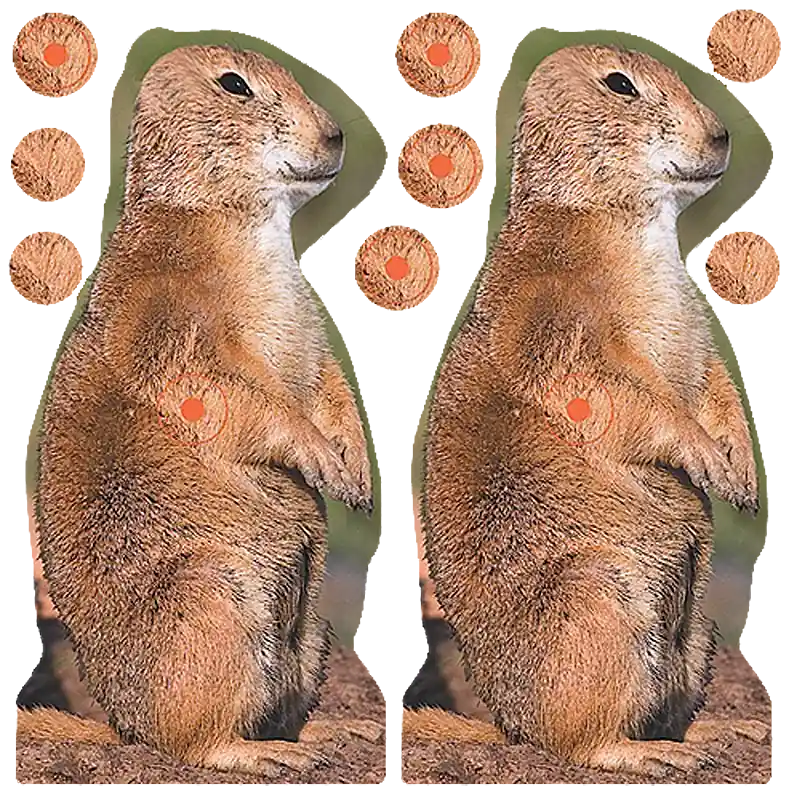 Birchwood Casey 34786 Shoot-N-C 8" Prairie Chuck Reactive Targets - 12 Pack