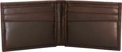 Men's Brown Cameleon Bi-Fold Wallet with Front Pocket