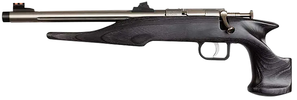 Chipmunk 40103 Hunter Youth 22 LR Single Shot 9" Threaded Barrel, Black Laminate Frame