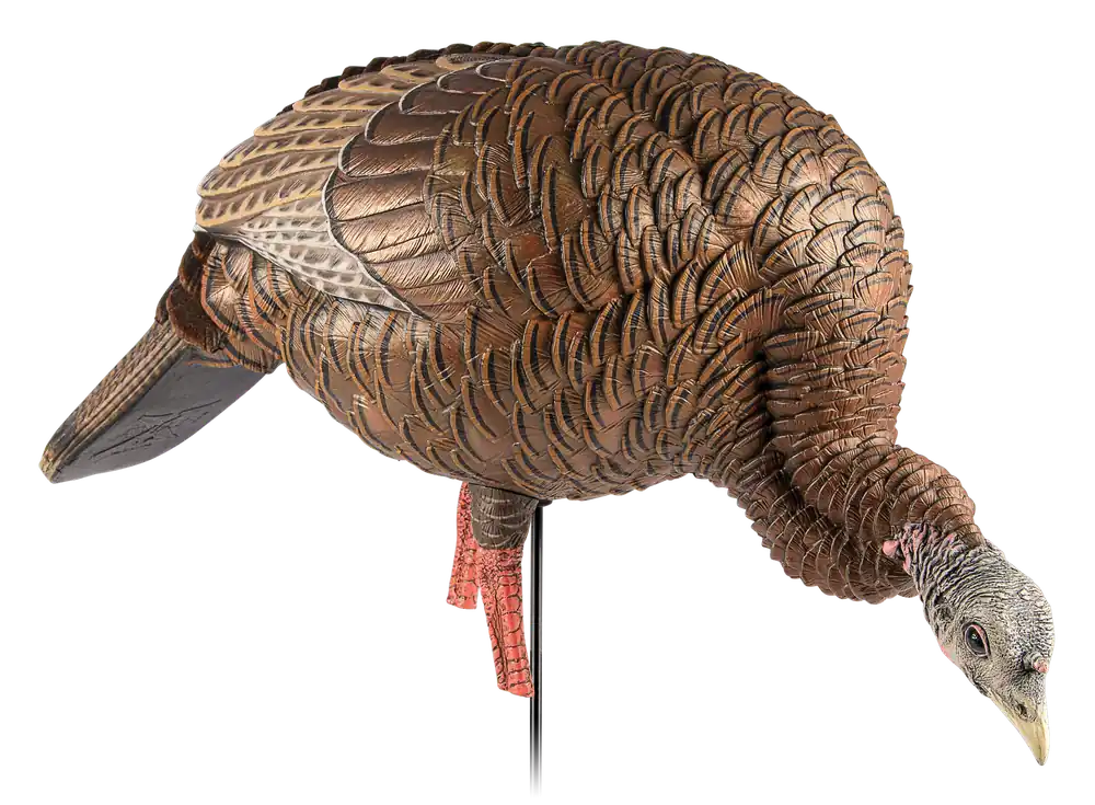 Avian X HDR Feeder Hen Turkey Decoy - Multi-Color