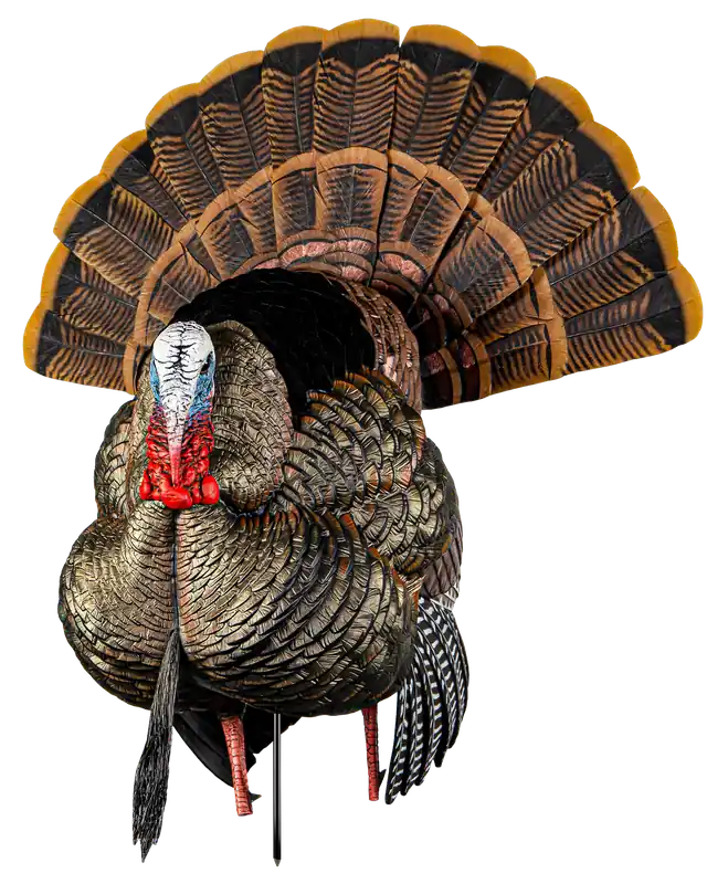 Avian X HDR Strutter Turkey Decoy - Multi Color