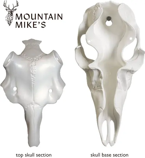 "Master Univ Kit for 3"-5" Antlers - Mountain Mike's Deer Skull"
