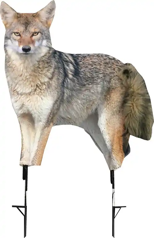 MONTANA DECOY COYOTE SONG DOG DECOY
