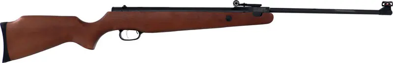 Beeman 10512 Teton .22 Caliber Break Barrel Air Rifle - 950 FPS