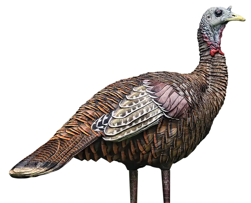 Avian X LCD Lookout Hen Turkey Decoy - Multi-Color Dura-Rubber