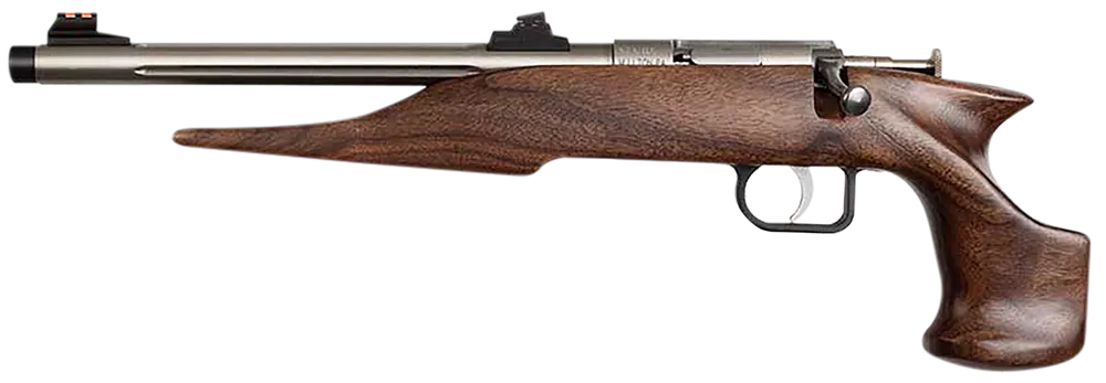Chipmunk 40101 Hunter Youth 22 S/L/LR Single Shot 9" Threaded Barrel, Walnut Frame, EZ Loader