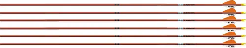 Bully Vanes 6-Pack Autumn Orgeaston Arrow FMJ 5mm 400 with 2"