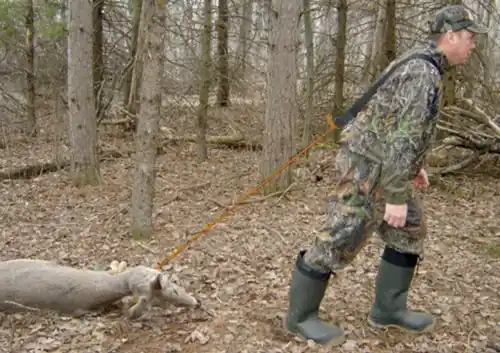 HME Deer Drag Economy Series: Affordable and Efficient Solution