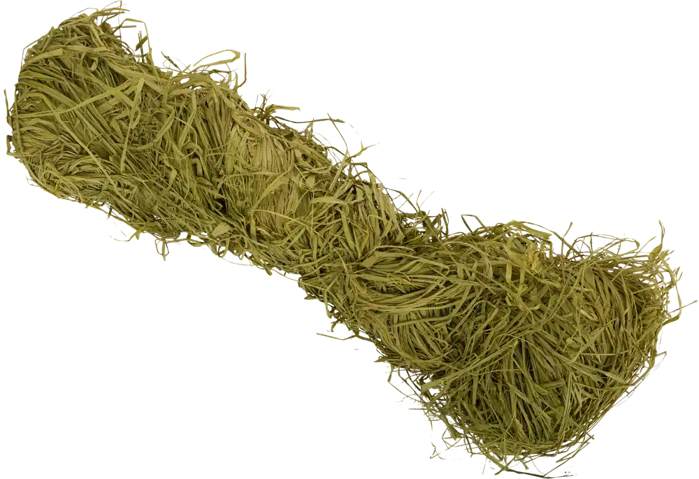 Drake Waterfowl Raffia Grass in Light Olive