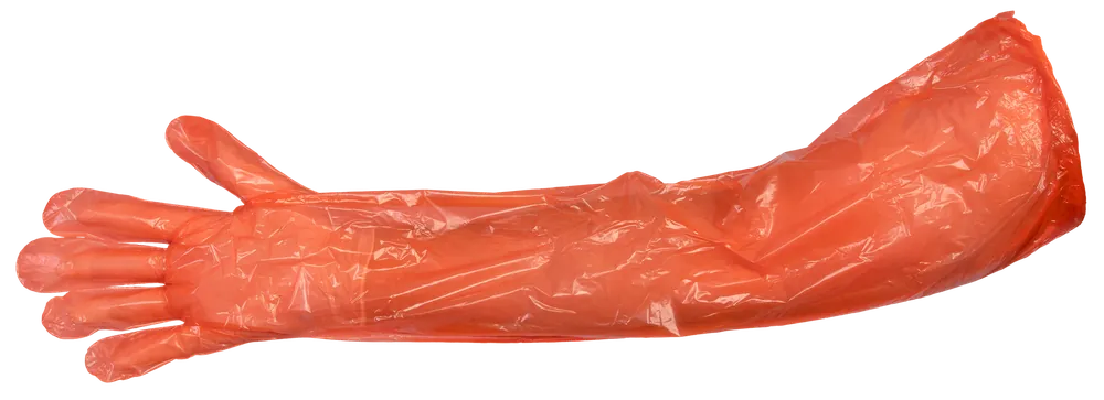 Deluxe Field Dressing Kit: White Latex Gloves 2 Pack by Hunters Specialties