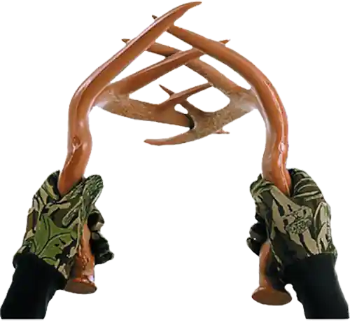 Primos 710 Fightin Horns Deer Attractor - Brown Polymer