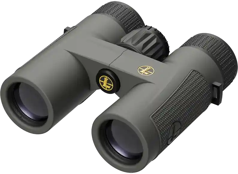 Leupold BX-4 Pro Guide HD 10x32mm Binoculars - Shadow Gray