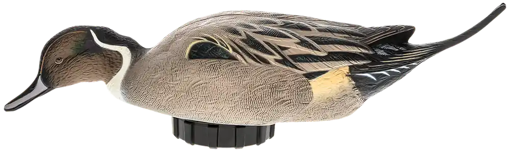 Avian X Pintail Surface Feeder Duck Decoy - Multi-Color Power Shaker