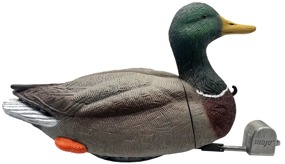 MOJO HW2554 Dabbler Duck: A Comprehensive Overview