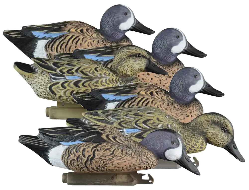 Higdon Outdoors Blue Wing Teal Decoys 6-Pack - Multi Color Foam Filled