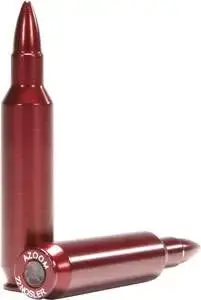 A-ZOOM 22 NOSLER 2PK