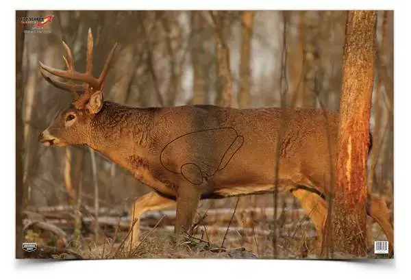 Birchwood Casey 37481 EZE-Scorer Paper 23" x 35" Whitetail Deer 2 Per Pack