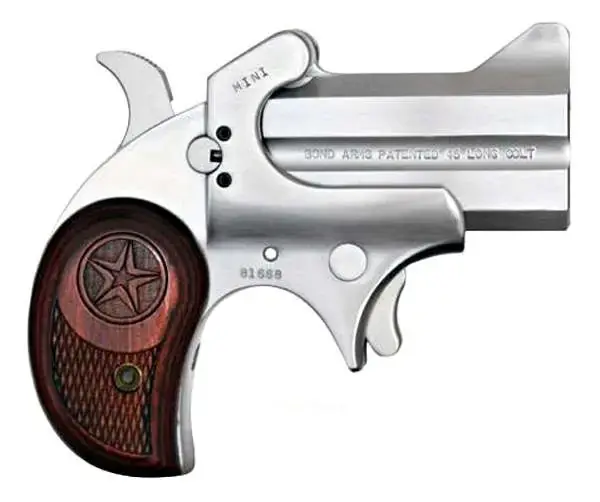 Bond Arms BAM Mini Original Derringer Single 45 Colt (LC) 2.5" 2 Round Stainless