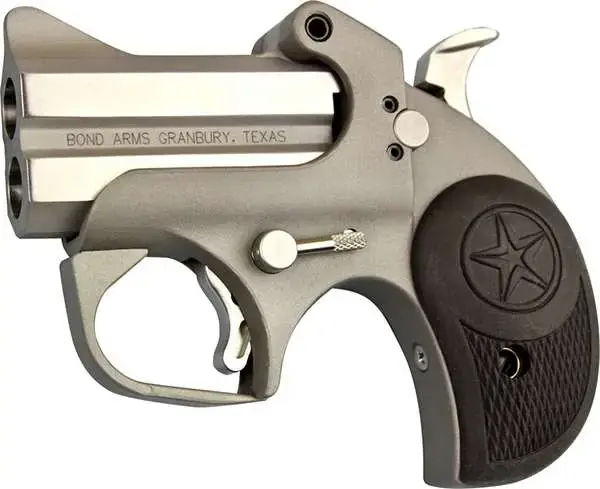 Bond Arms BARN Roughneck9mm Luger 2.50" 2 Stainless Steel Black Rubber Grip