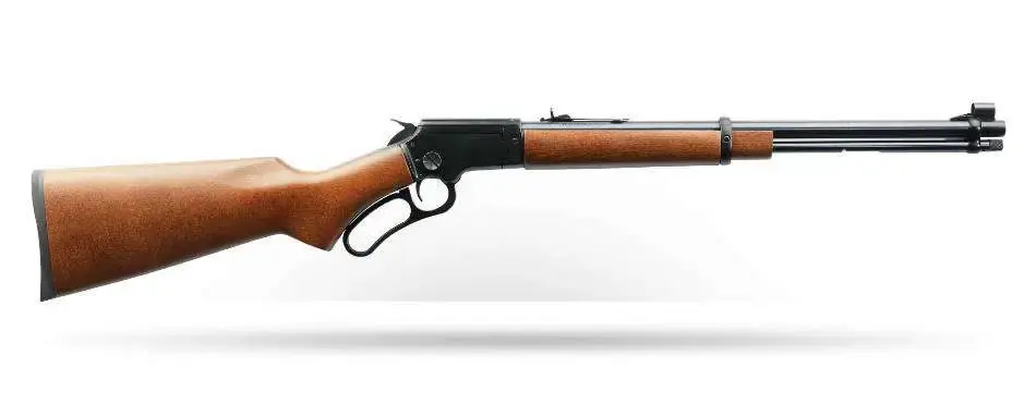 Chiappa Firearms 920414 LA322 Carbine Takedown 22 LR 15+1 18.50" Wood Blued Right Hand