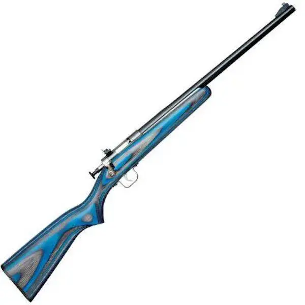 Crickett KSA2222 Crickett 22 LR 1 16.12" Blued Right Youth/Compact Hand