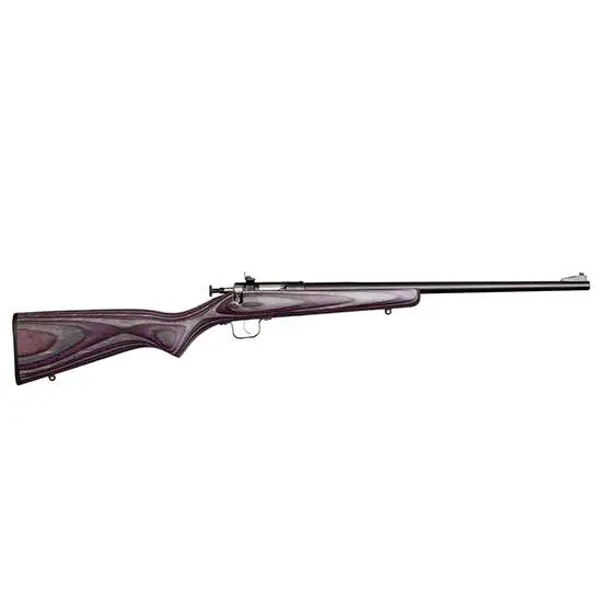 Crickett KSA2227 Crickett 22 LR 1 16.12" Blued Purple Right Youth/Compact Hand