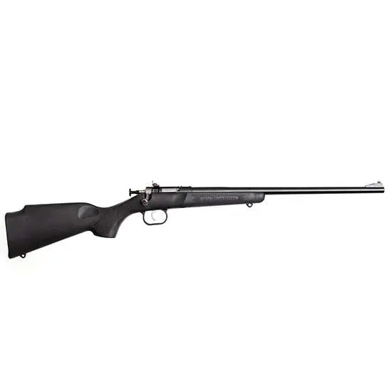 Crickett Crickett 22 LR 1 16.10" Black Blued Right Hand