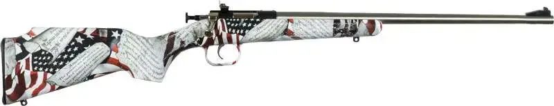 Crickett KSA3168 Crickett 22 LR 1 16.13" SS Blued American Flag w/Amendment Right Youth/Compact Hand