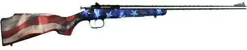 Crickett KSA3169 Crickett 22 LR 1 16.13" SS Blued One Nation American Flag Right Youth/Compact Hand