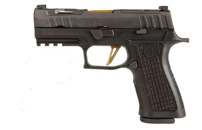 Sig Sauer P365V002 P365 XL Spectre 9mm Luger 3.70" 12+1 Black Frame Black Nitron Stainless Steel Slide XSeries Laser Engraved Black Polymer Grip Includes XRay3 Day/Night Sights & 2 Mags