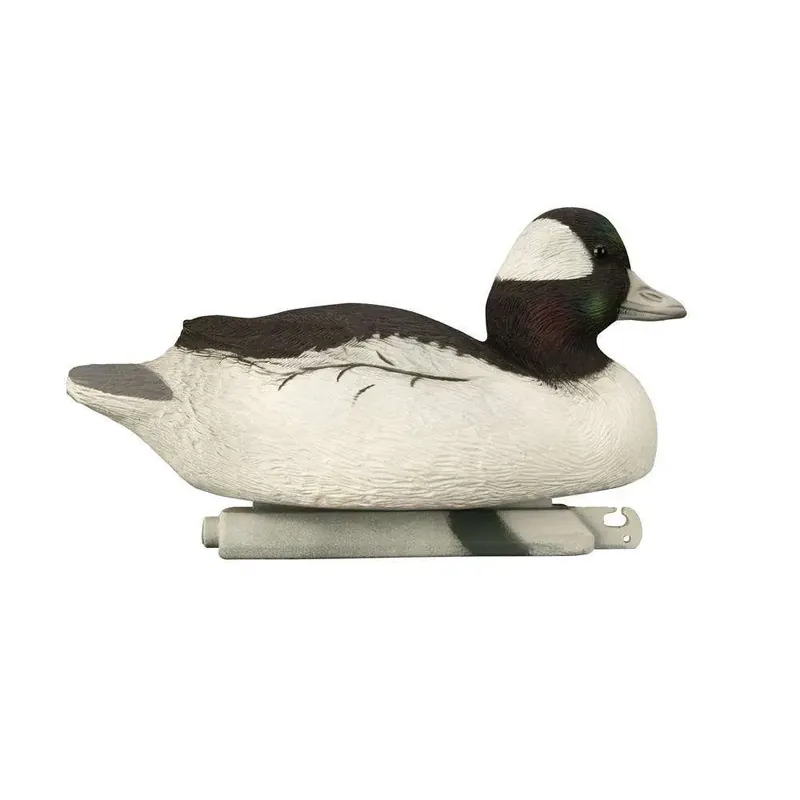 Battleship Diver Pk 2 Bluebills 2 Canvasbacks 1 Bufflehead 1 Goldeneye
